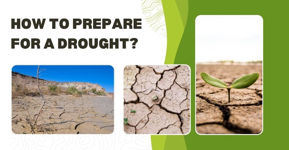 How to Prepare for a Drought? Essential Tips to Stay Safe and Ready